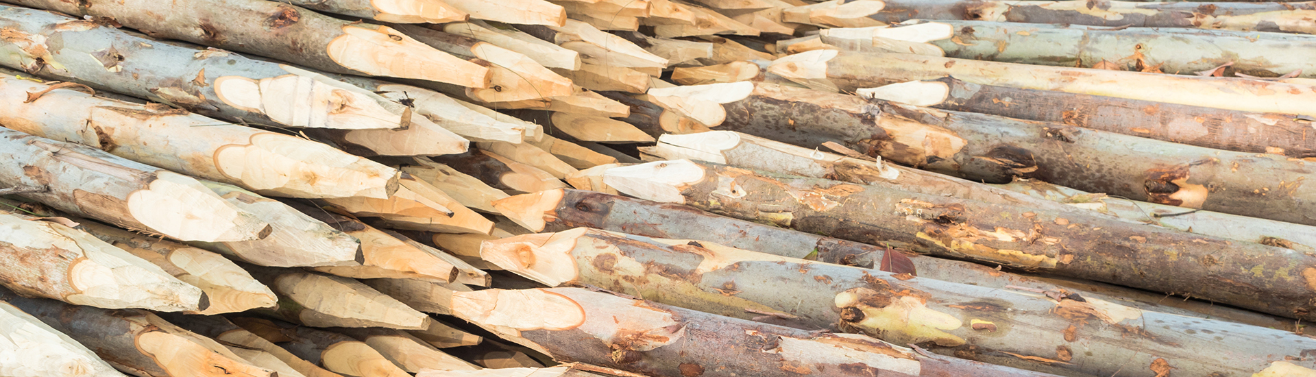 produits - pôles - pôles en châtaigne