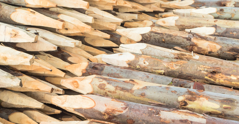 produits - pôles - pôles en châtaigne