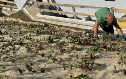 Tissu de Paillage Naturel