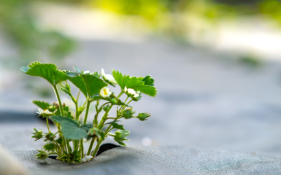 synthetic mulching fabrics