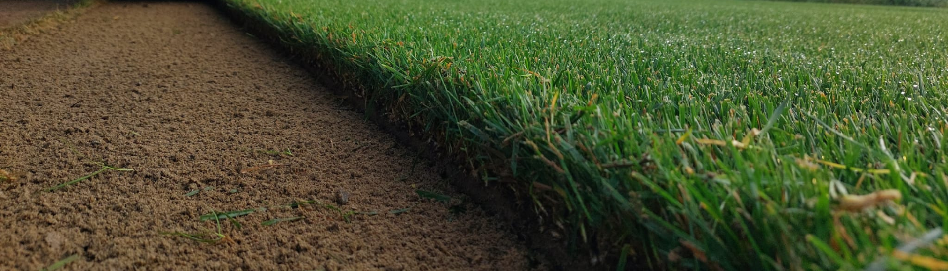 produits - SEMENCES ET ENGRAIS