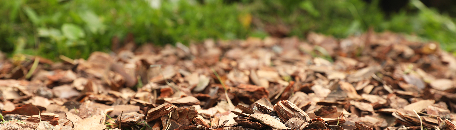 product - soils and products for mulching