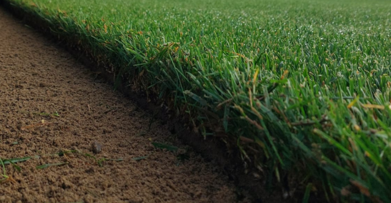 produits - SEMENCES ET ENGRAIS