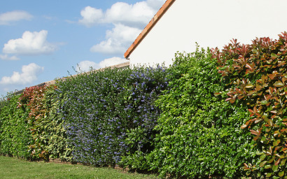 mixed hedge