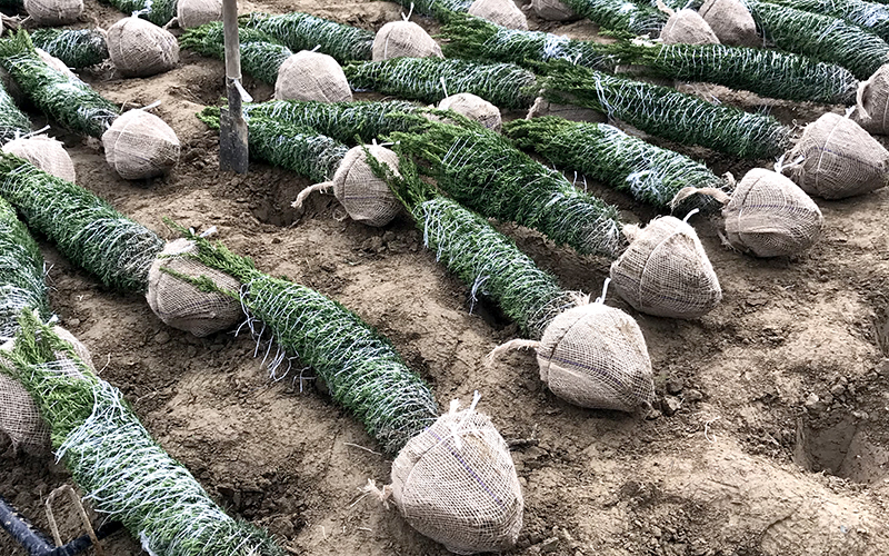 LOGISTIK UND
    LIEFERUNG